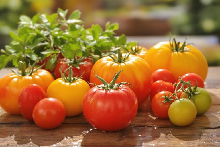 Pourquoi il ne faut jamais mettre les tomates au frigo (et que faire à la place).jpg